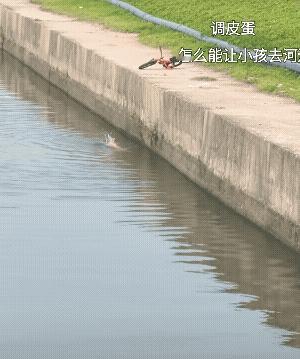 普通人的善良最值得被歌颂！这小孩也遇事不惊慌！[赞][祈祷][玫瑰]