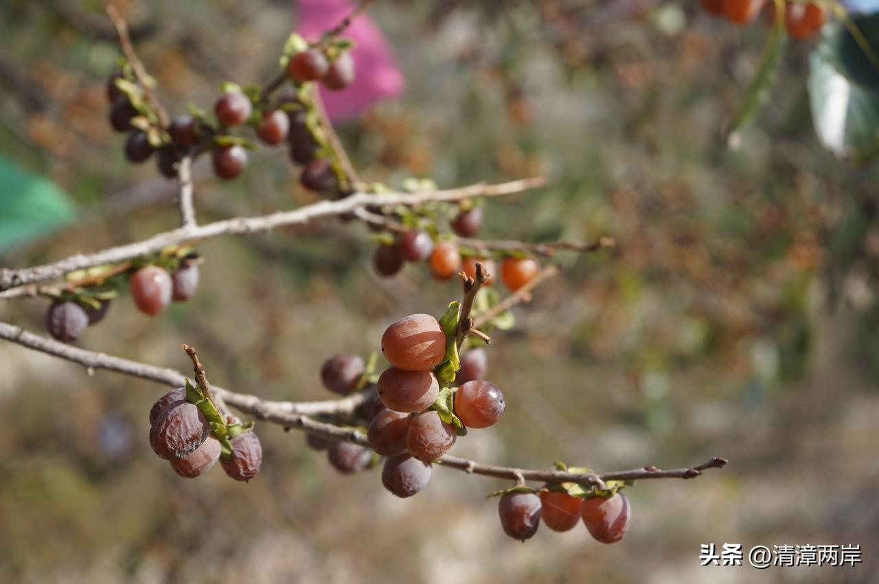 那天，有些朋友问我，涉县有什么好玩的吗？我没有给他们推荐5a级风景区娲皇宫。也没