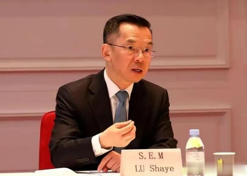干的漂亮，东方不在一味地防守开始进攻了，中国驻法国大使卢沙野接受法国一台采访时所