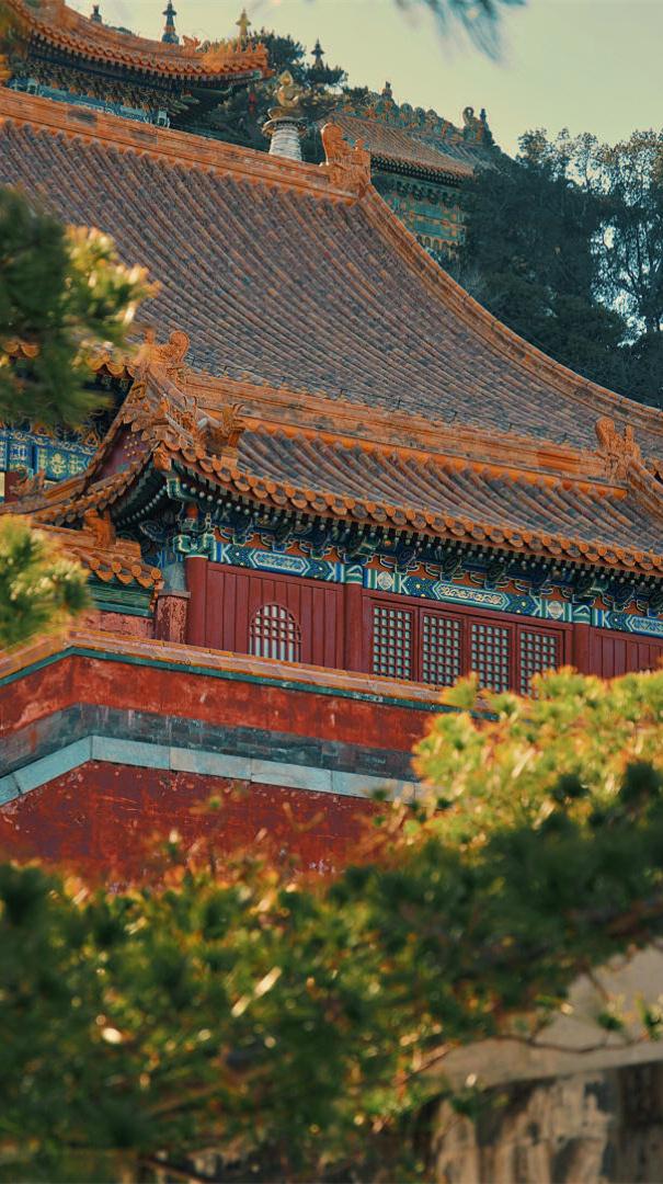 今天是公元2026年6月28日,星期日,农历五月十四.
丙午年 甲午月 癸酉日;