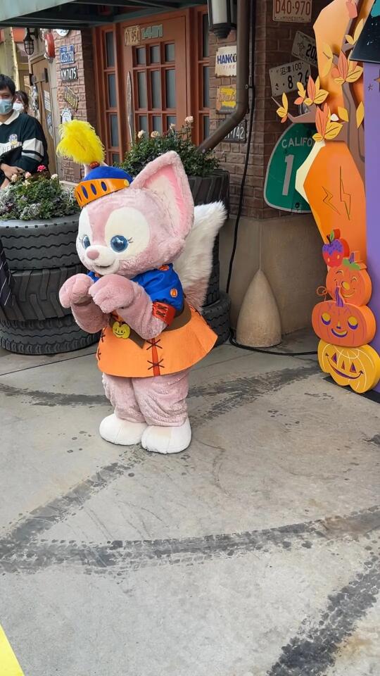 在相册里翻到了幼狐时期的玲娜贝儿学小松鼠