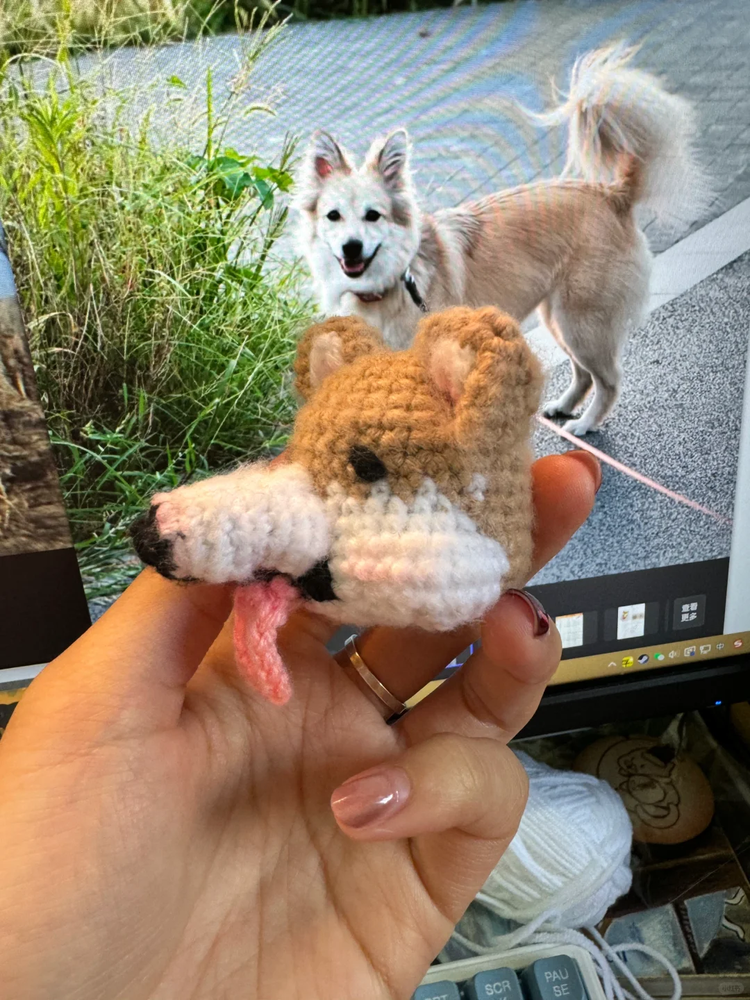 羡慕狗狗！同事上班钩的也太可爱了！