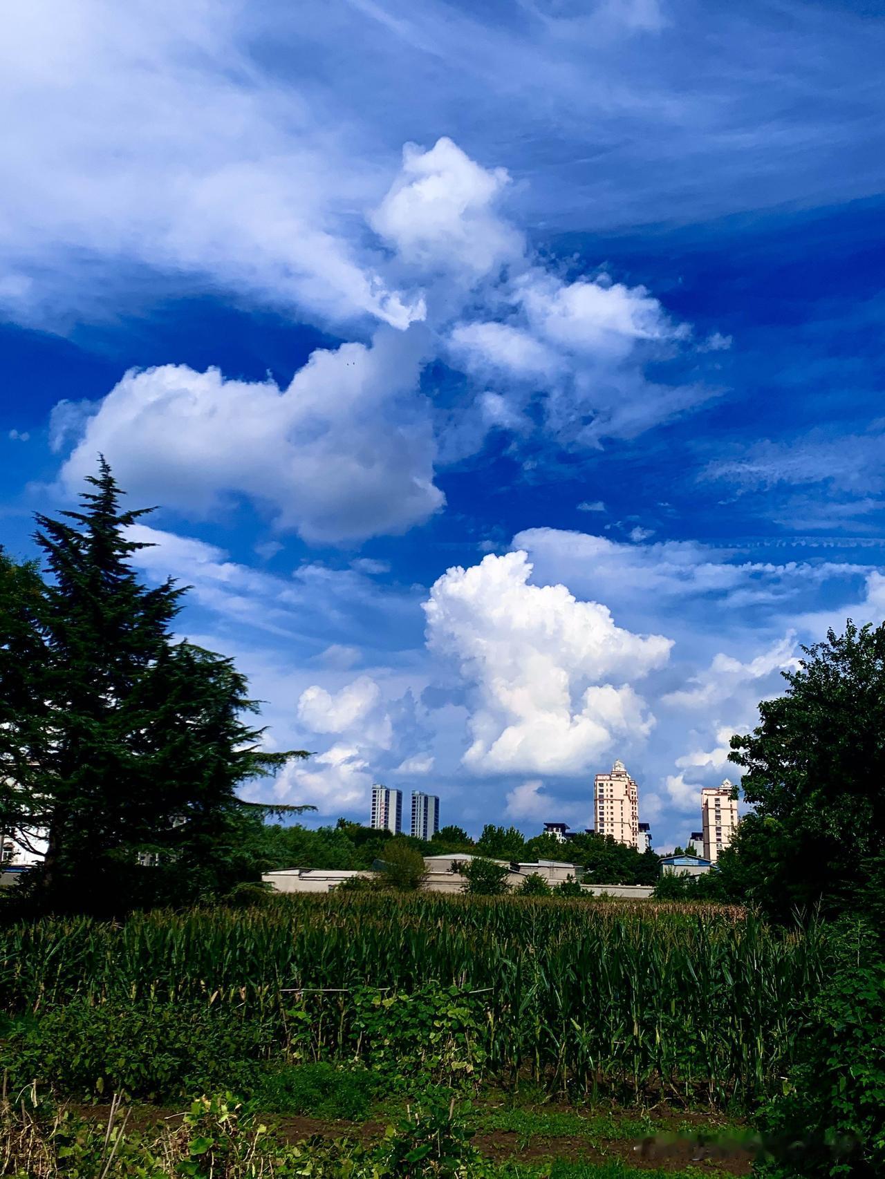 随手一拍城市天空美景