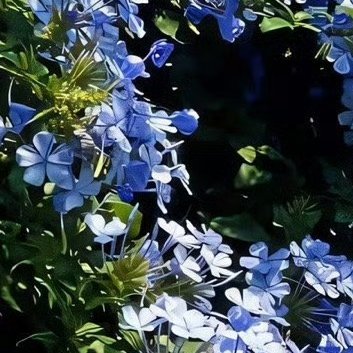 每日一善每日一善‬ ‎阳光信用 平淡是天空的一片云，自然地飘着，轻松无牵绊；平淡