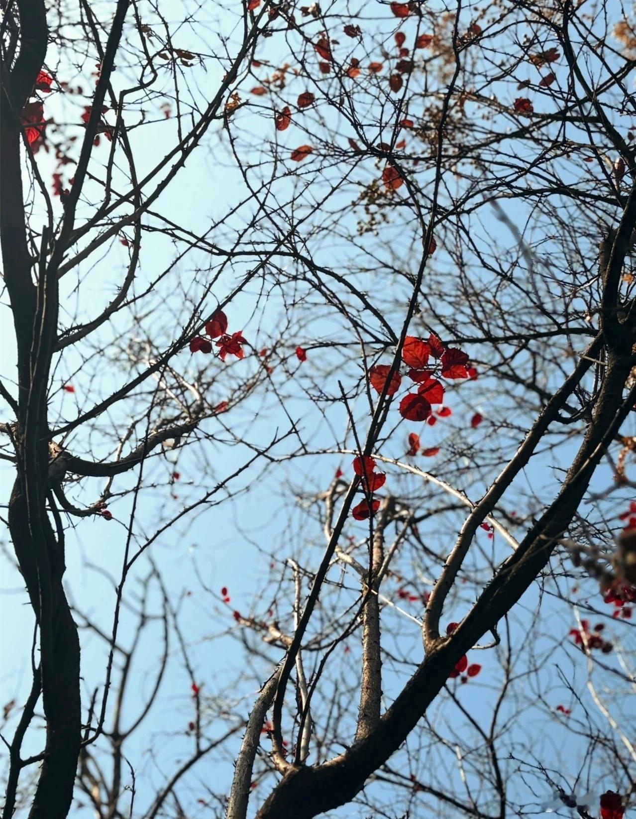 早上好，老铁们，新的一天新的开始，清空烦恼重拾力量，眼里有光心中有暖，万事顺意步