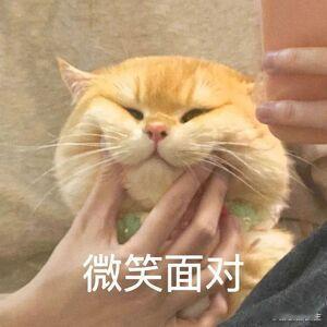高圆圆的颜值着实出众，令人羡慕。她那恰到好处的状态，让人不禁感叹。要是能拥有这般
