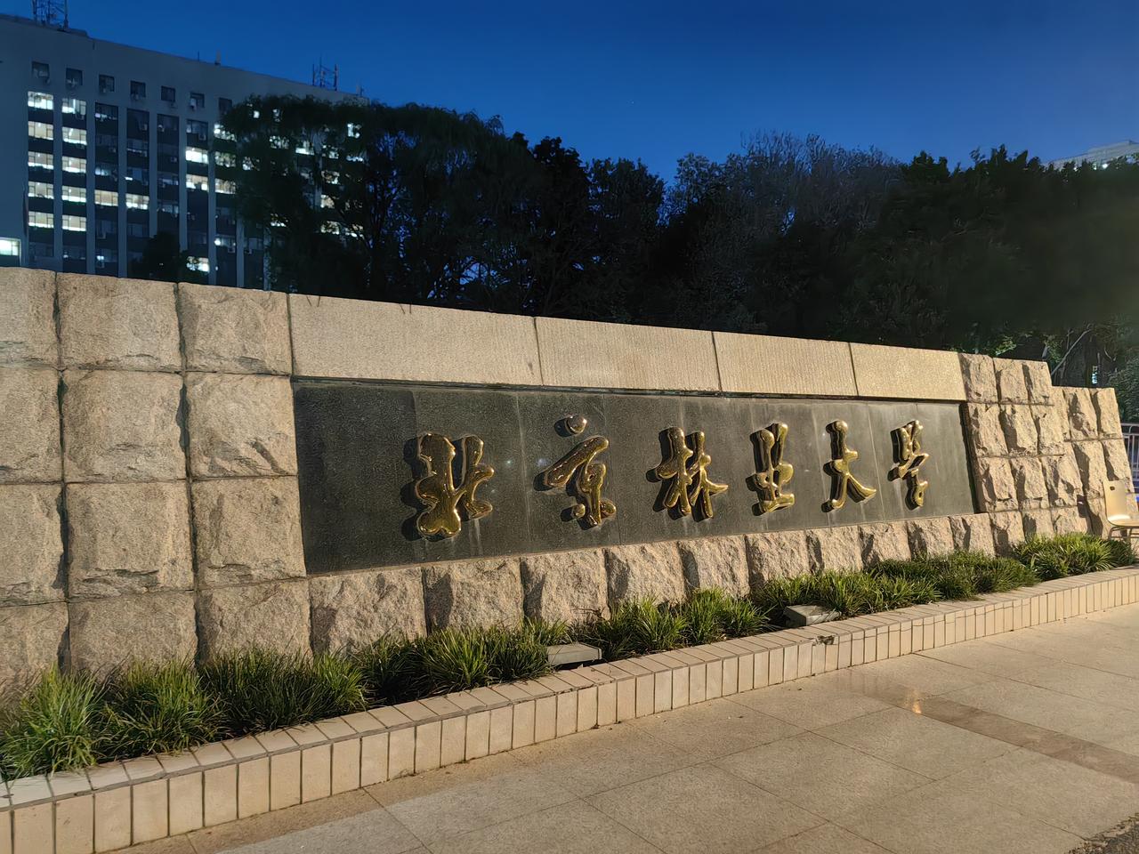 《蓝调时刻，邂逅北林的温柔夜色》
  — 姥姥手记 2026.4.27
暮色四合