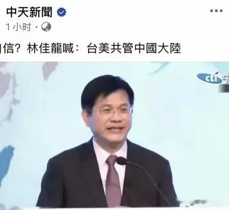 台外事部门负责人林佳龙狂言：“台美要共管中国”，引发蓝营名嘴集体高潮，蓝媒近期谈