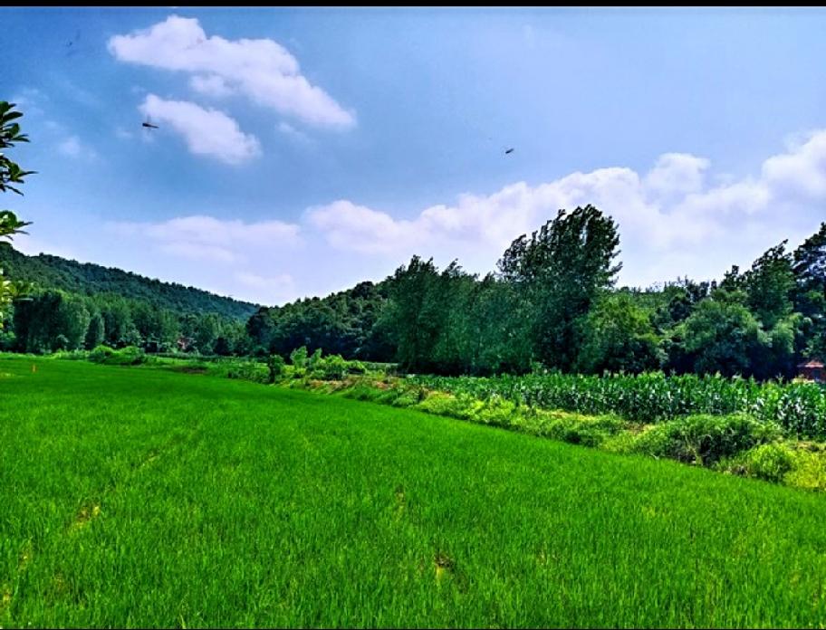 蓝天白云天上景，求下联