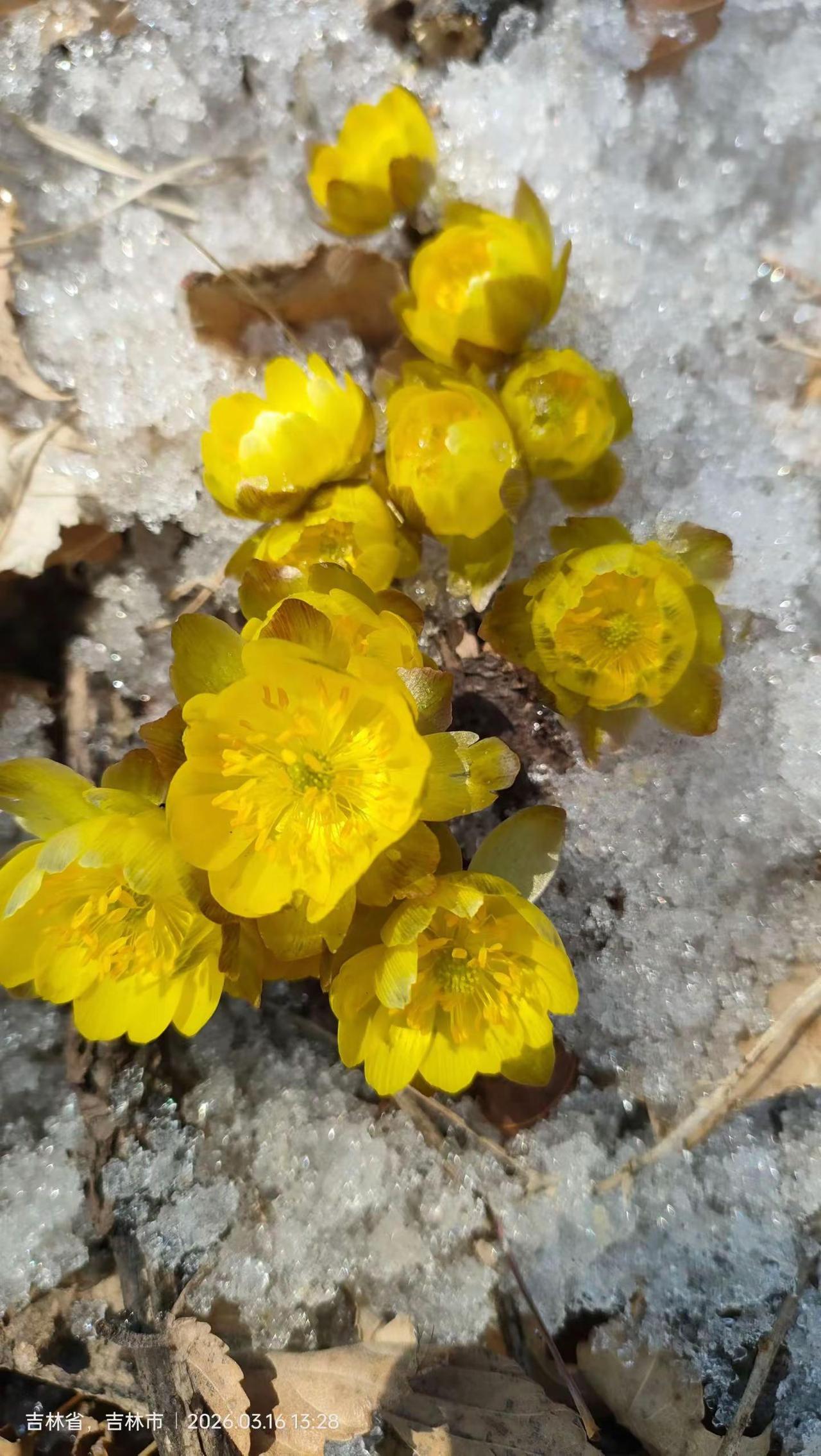 愿所有的祝福都陪伴着我们🙏🏻