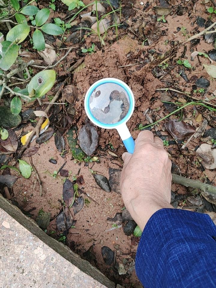 理论VS实践，谁排第一？毛主席的《实践论》早已给出答案！
 
理论和实践，究竟哪