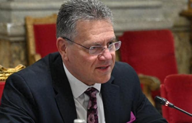 明年反华就没有后顾之忧了？欧盟贸易和经济安全专员表示，中国已开始发放发稀土通用许