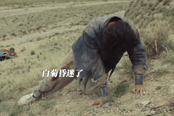 生命树死亡没有慢镜头 现实从来不给人告别的机会😭，《生命树》完美还原这一点，没