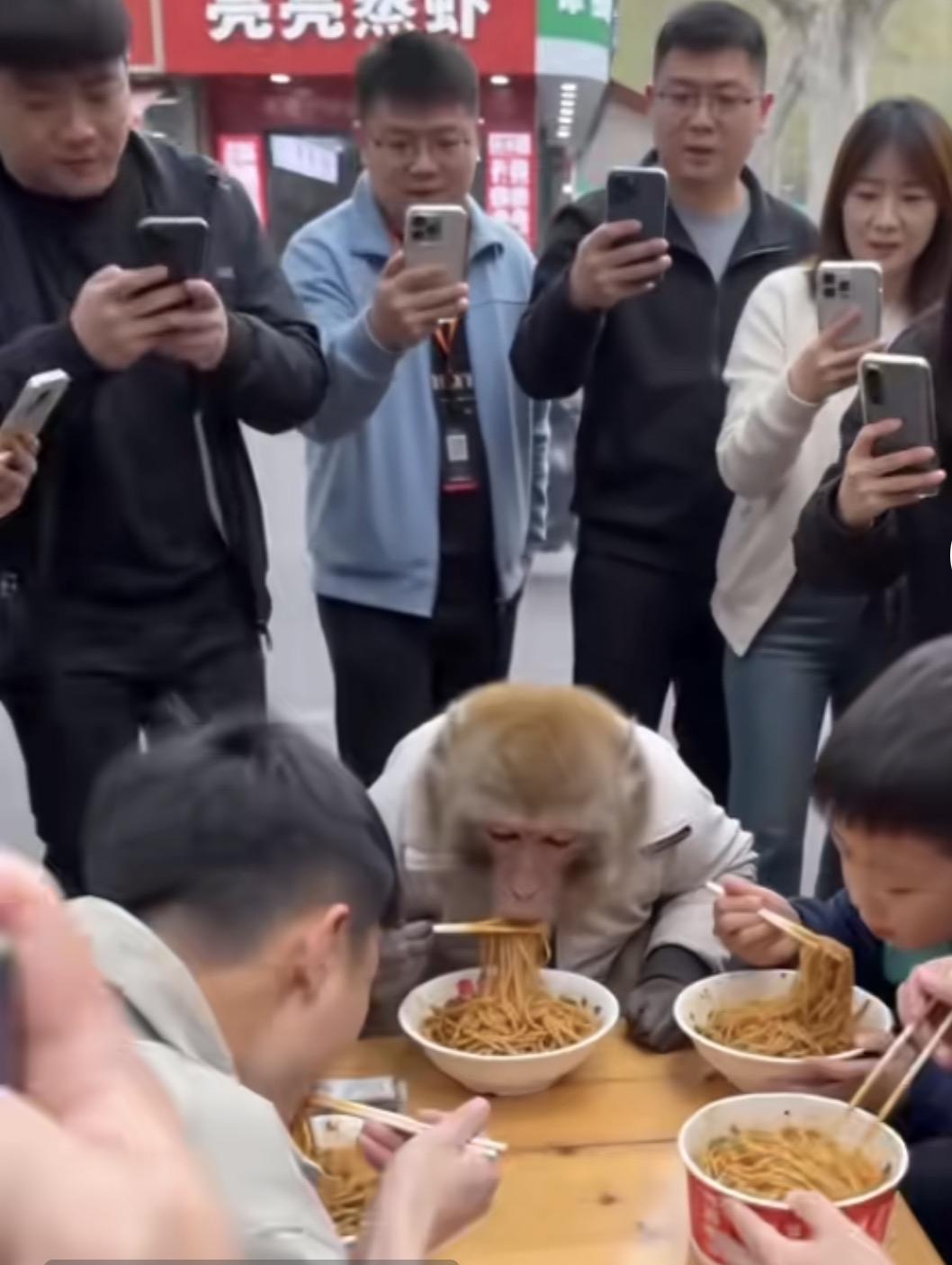 吃个早点这么多人拍照！这是耍猴吗？还是找热点？
