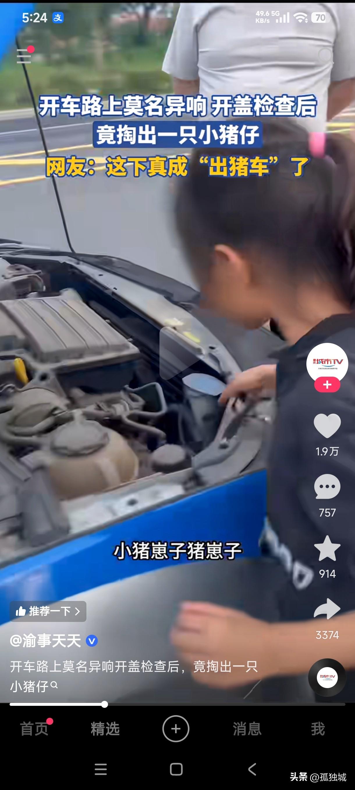 出租车司机开车上路莫名听见发动机有异响，打开盖子检查后发现里面居然藏着一只小猪仔