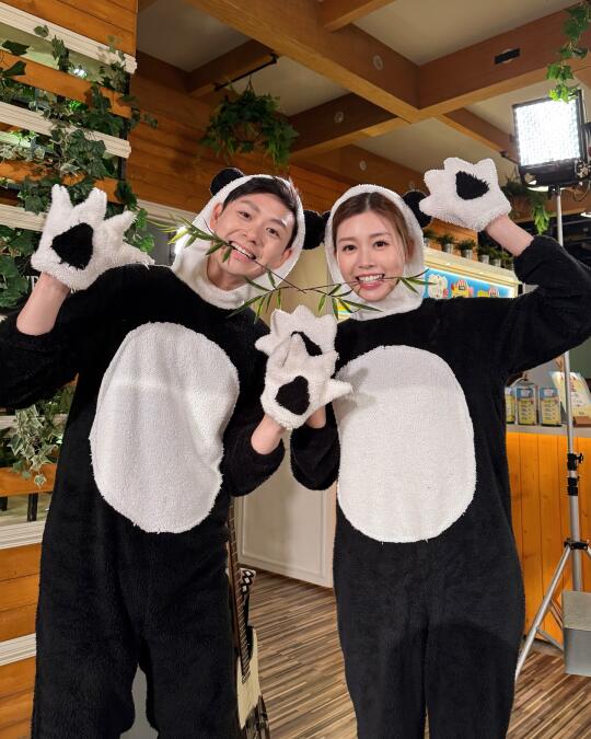 【開心速遞】🐼🐼壯laine真好看！