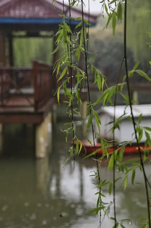 上联:清风对句桃花院;
下联:细雨抒怀柳岸边。
对下联 友友请邀下联 友友请出上