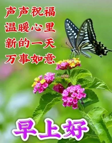 开心无处不快乐
善良到处有朋友
知足处处都幸福