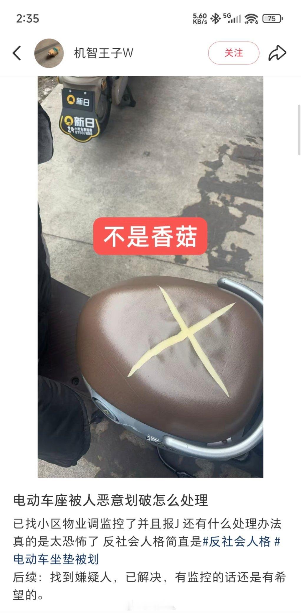 谁懂这个诡异的笑点啊。。。我盯着不是香菇笑了十分钟，一点开评价，又笑了十分钟！不