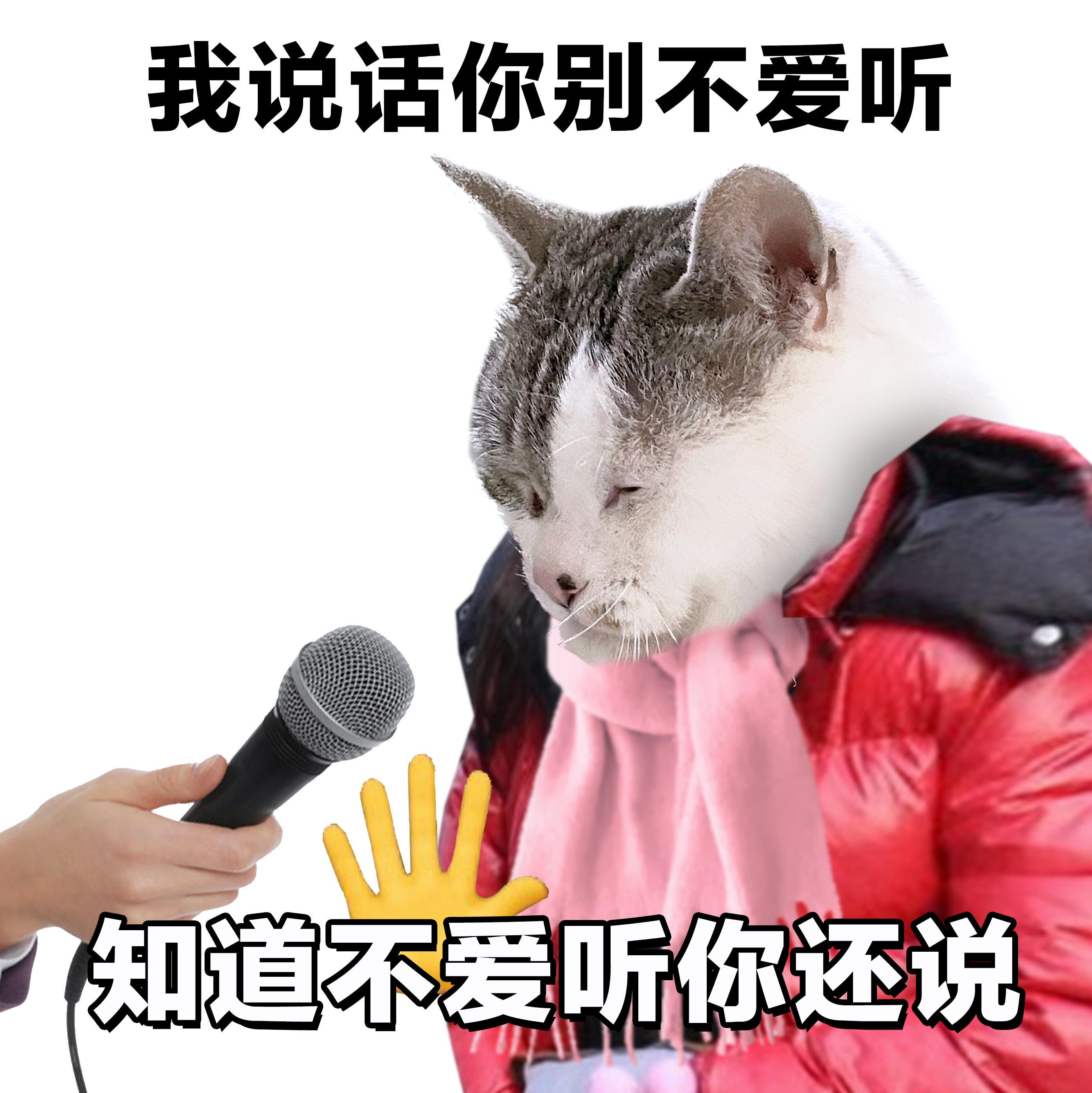 表情包｜过年没什么才艺，就给大家表演一个胡说八道[二哈] 