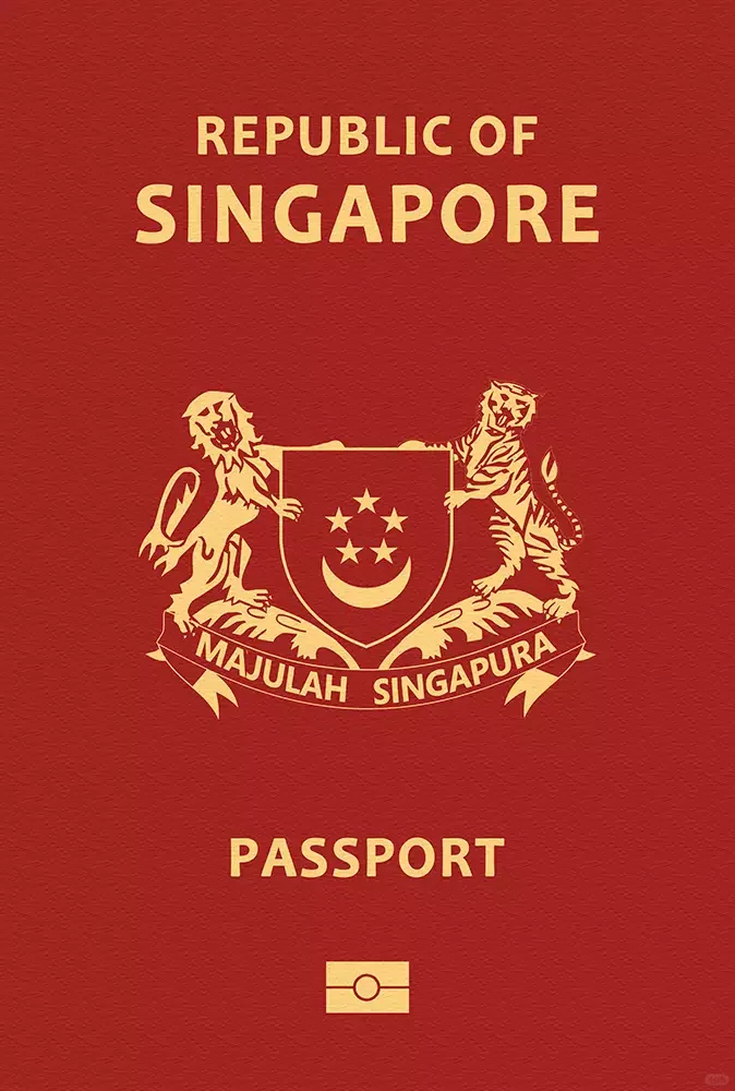 新加坡🇸🇬护照免签国家地区