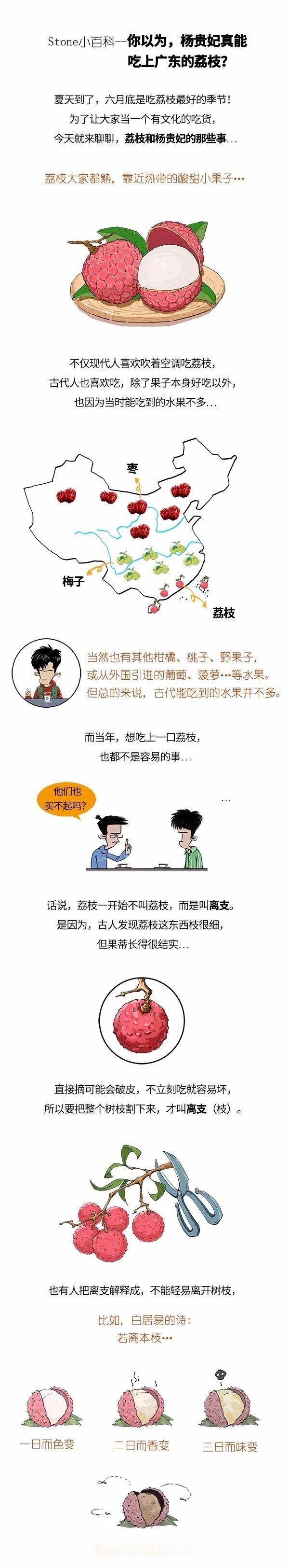 “一骑红尘妃子笑，无人知是荔枝来。”那你以为杨贵妃真能吃上广东的荔枝吗？中国荔枝