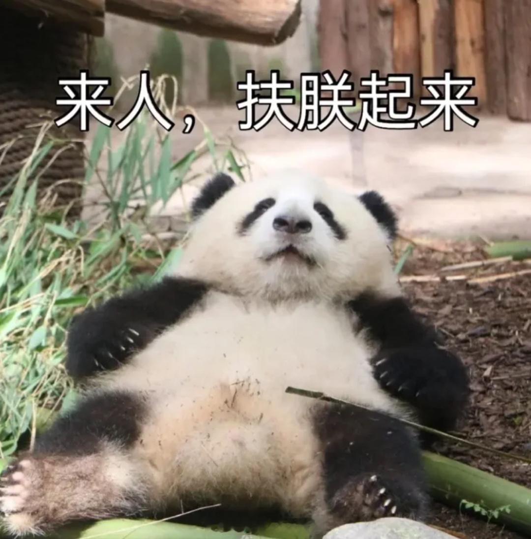 你的屁股很可能已经死了 什么搞笑的话题[允悲]我这种上班坐9小时，周末躺23小时