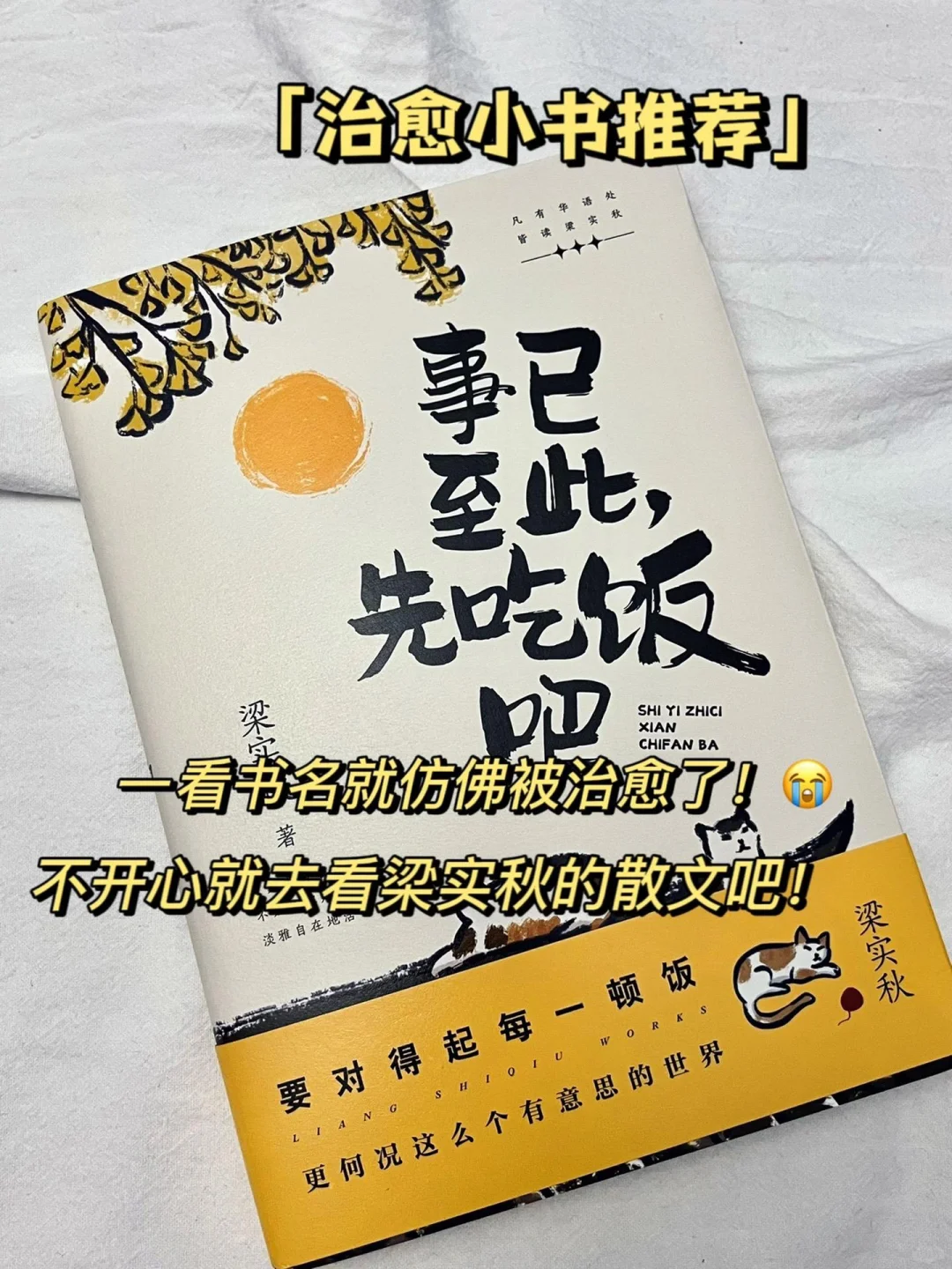 《事已至此，先吃饭吧》