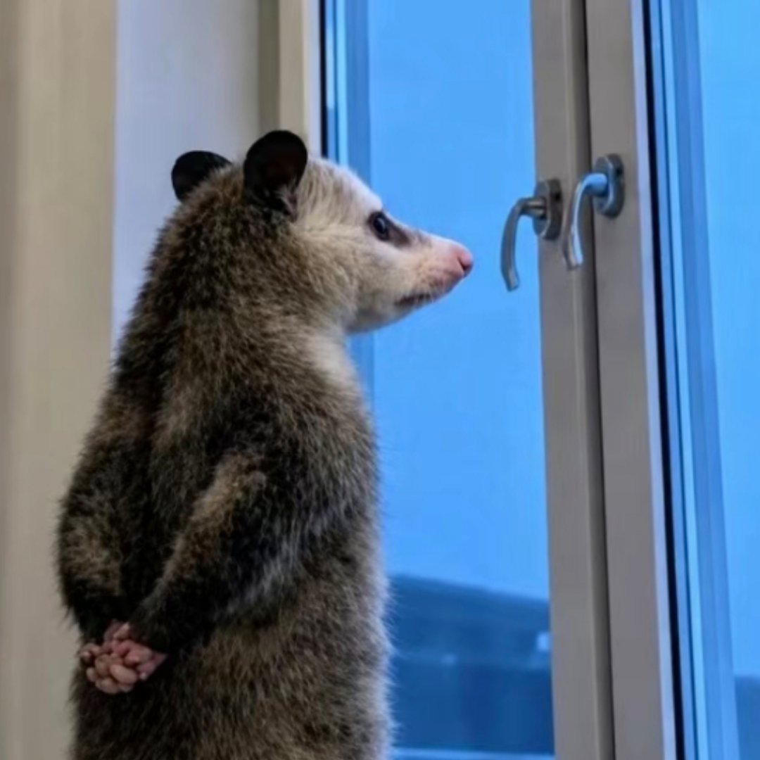 我的优酷小卡终于快发货了