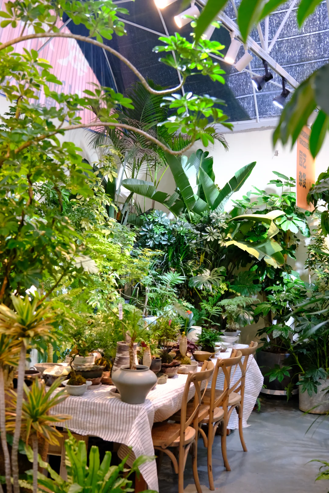 📍贵阳宝藏绿植店