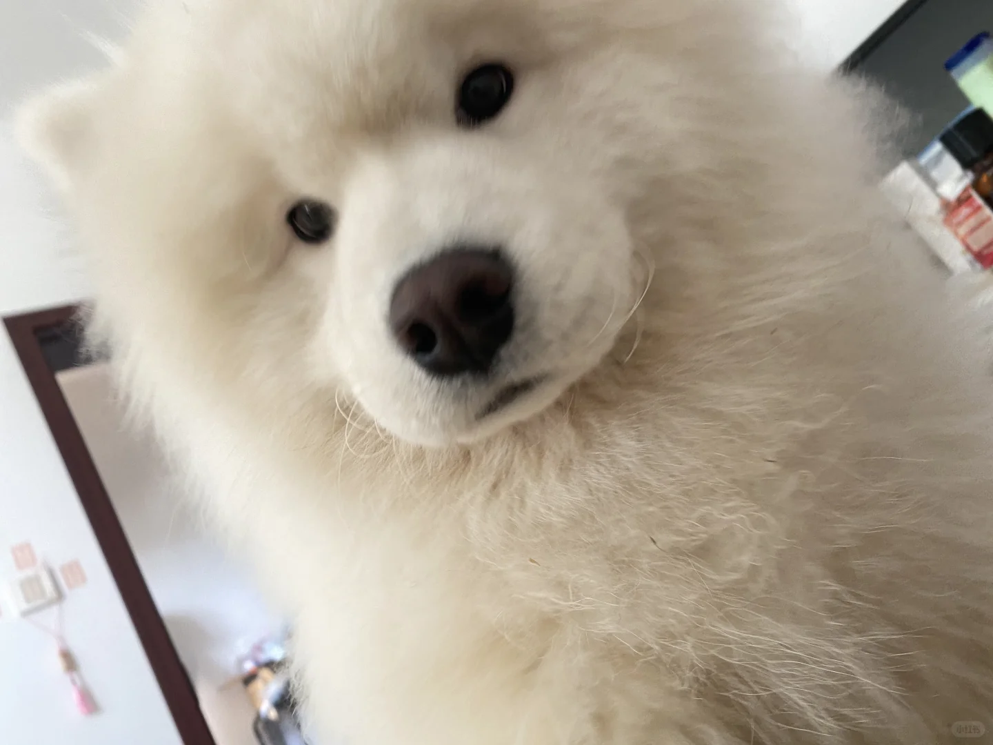 嘿 11:00啦 该起床啦
