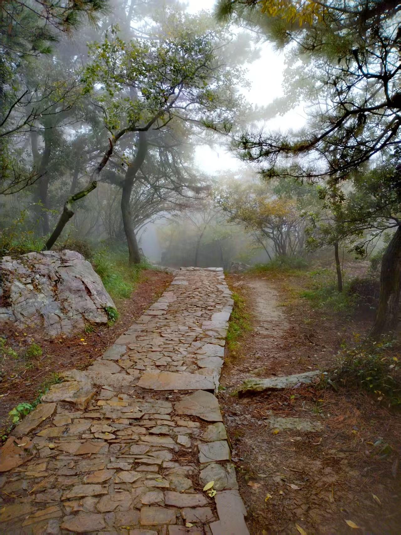 前几天发现作家路文彬转发了我的文章，感到好高兴啊，有一种被看见的喜悦。

我看了