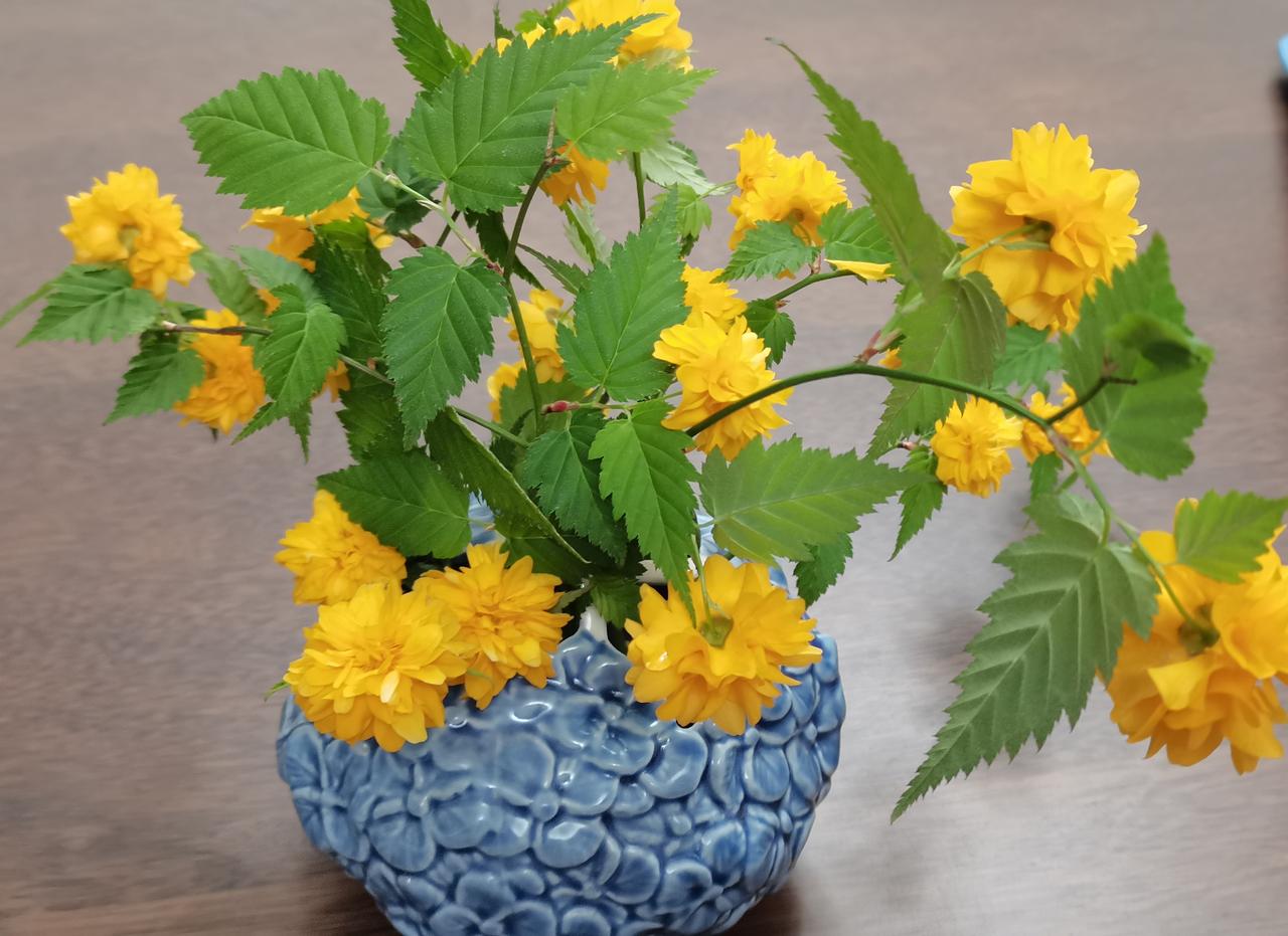 采花贼
阳台没封，我趴在栏杆上探头往下看，仔细辨认老公楼下种的扁豆发芽了没，无奈