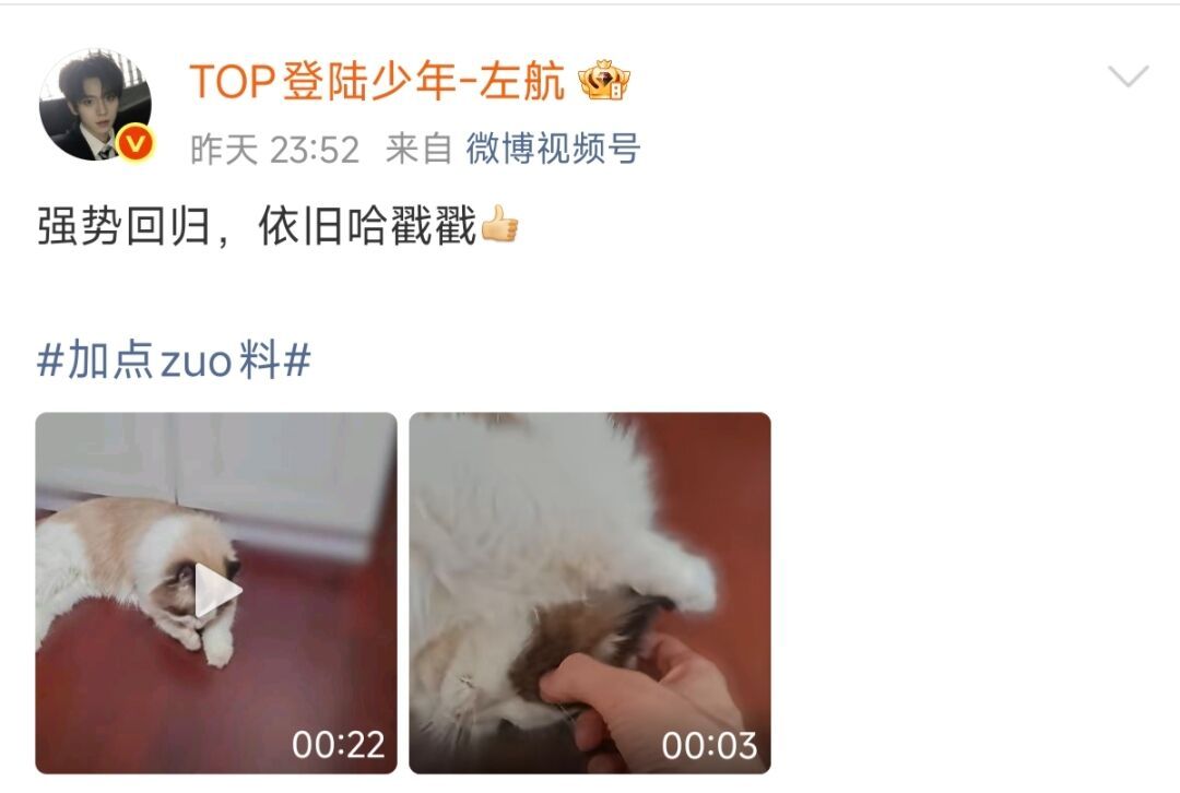 左航依旧哈戳戳左航说厚米傻乎乎的 左航说厚米傻乎乎的 