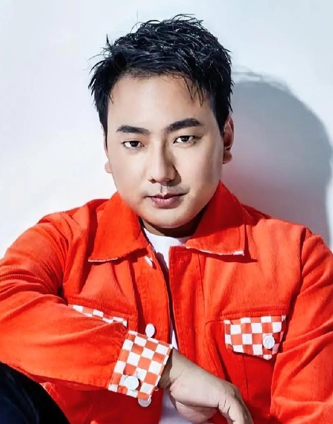 撕裂音，同质化，1.0版的刀郎。
贴在海来阿木身上的这些标签，差点就让他焊死在“