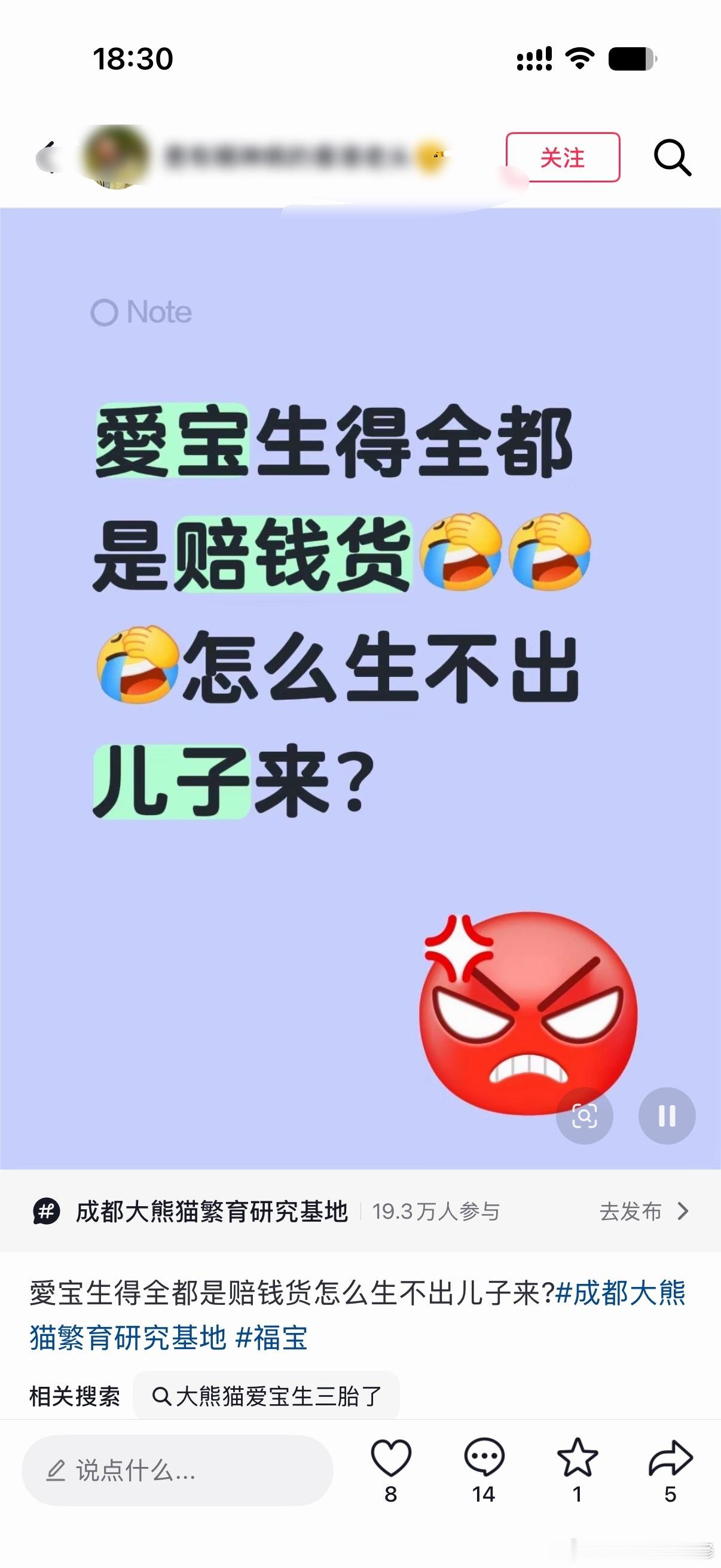 爱宝生三胎了 生的是小女孩 怎么这是重男轻女的风都吹到大熊猫国宝的身上了爱宝生三