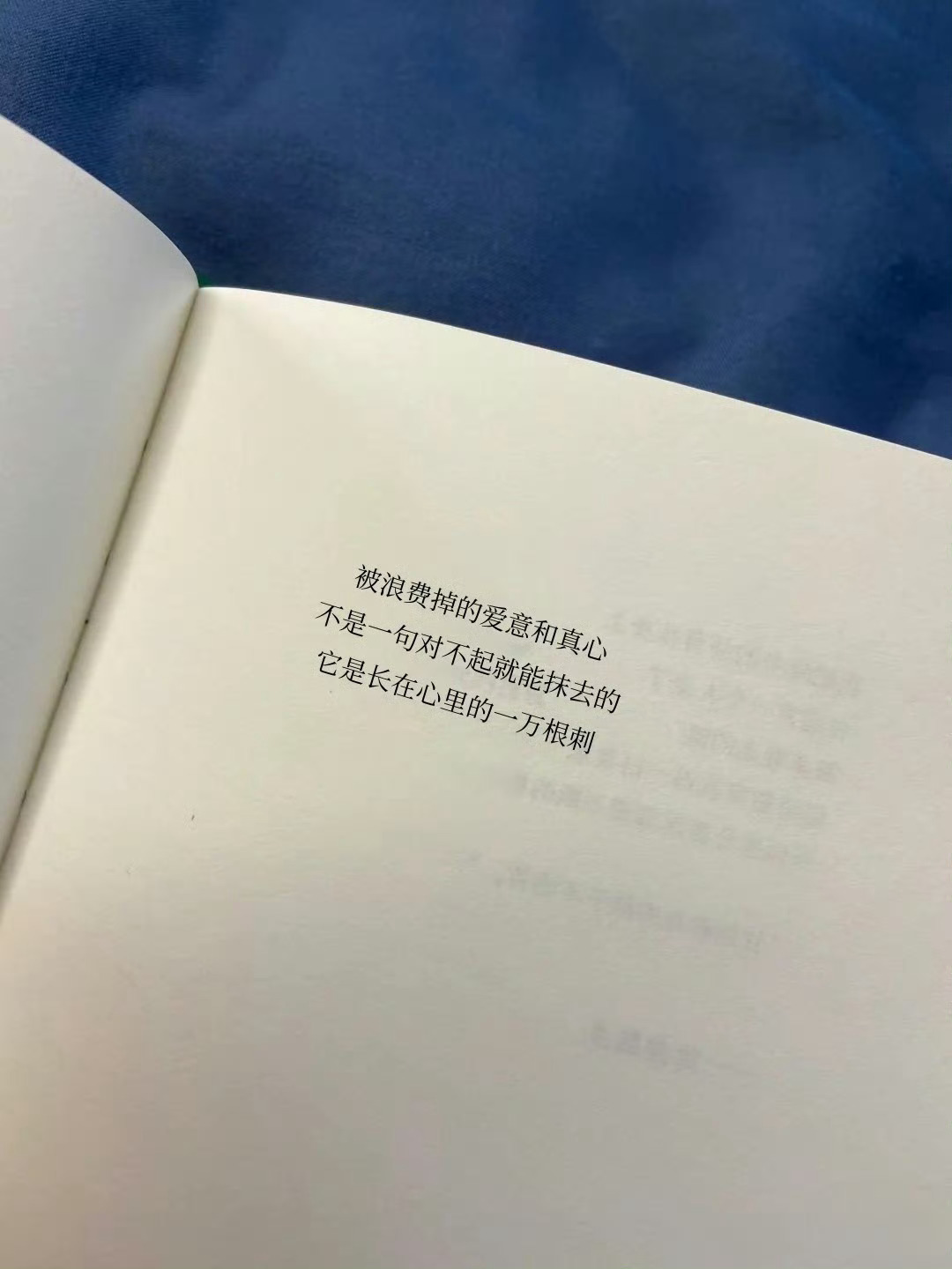 "被浪费掉的真心 是长在心里的一万根刺"