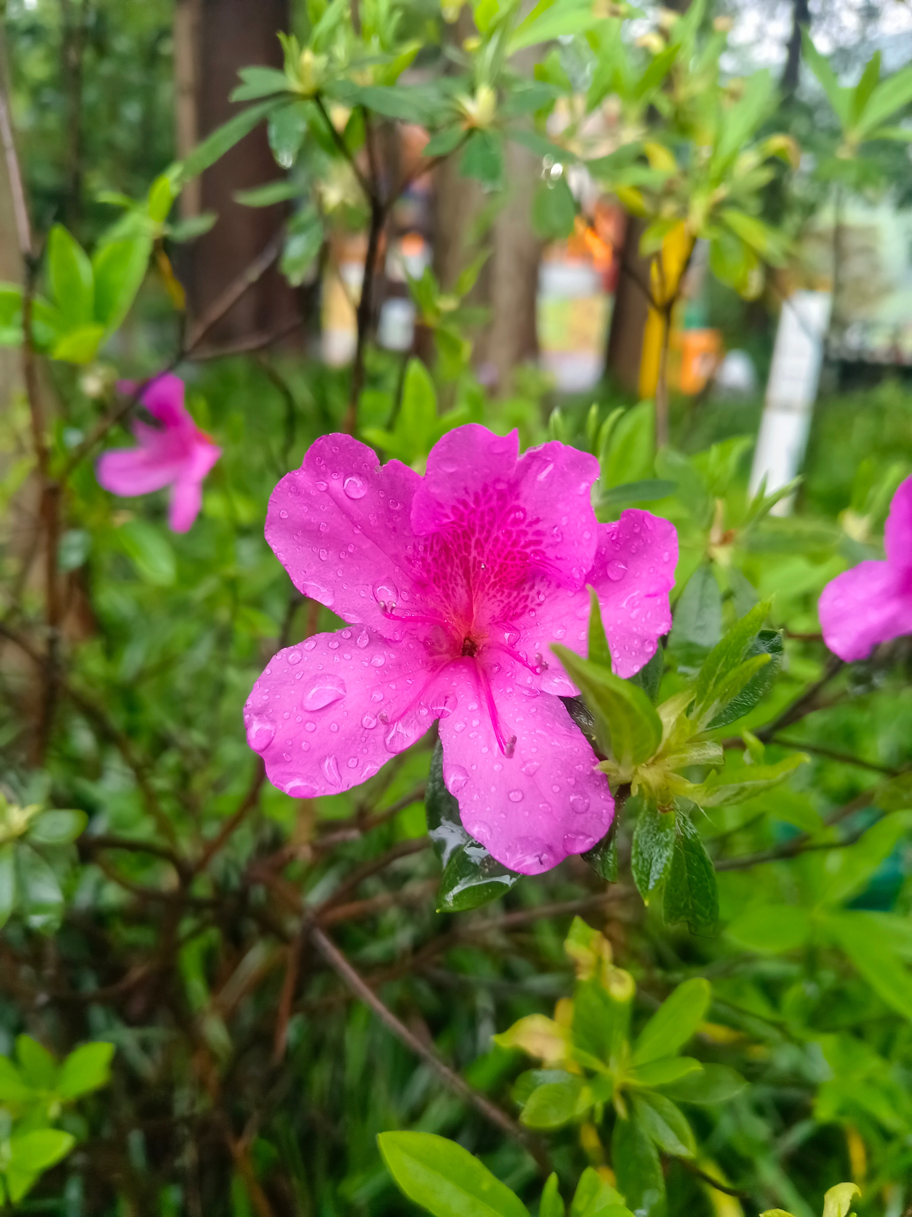 一群男的，走到了西湖，居然情不自禁的哼唱起了，西湖的水，我的泪……可见新白娘子传