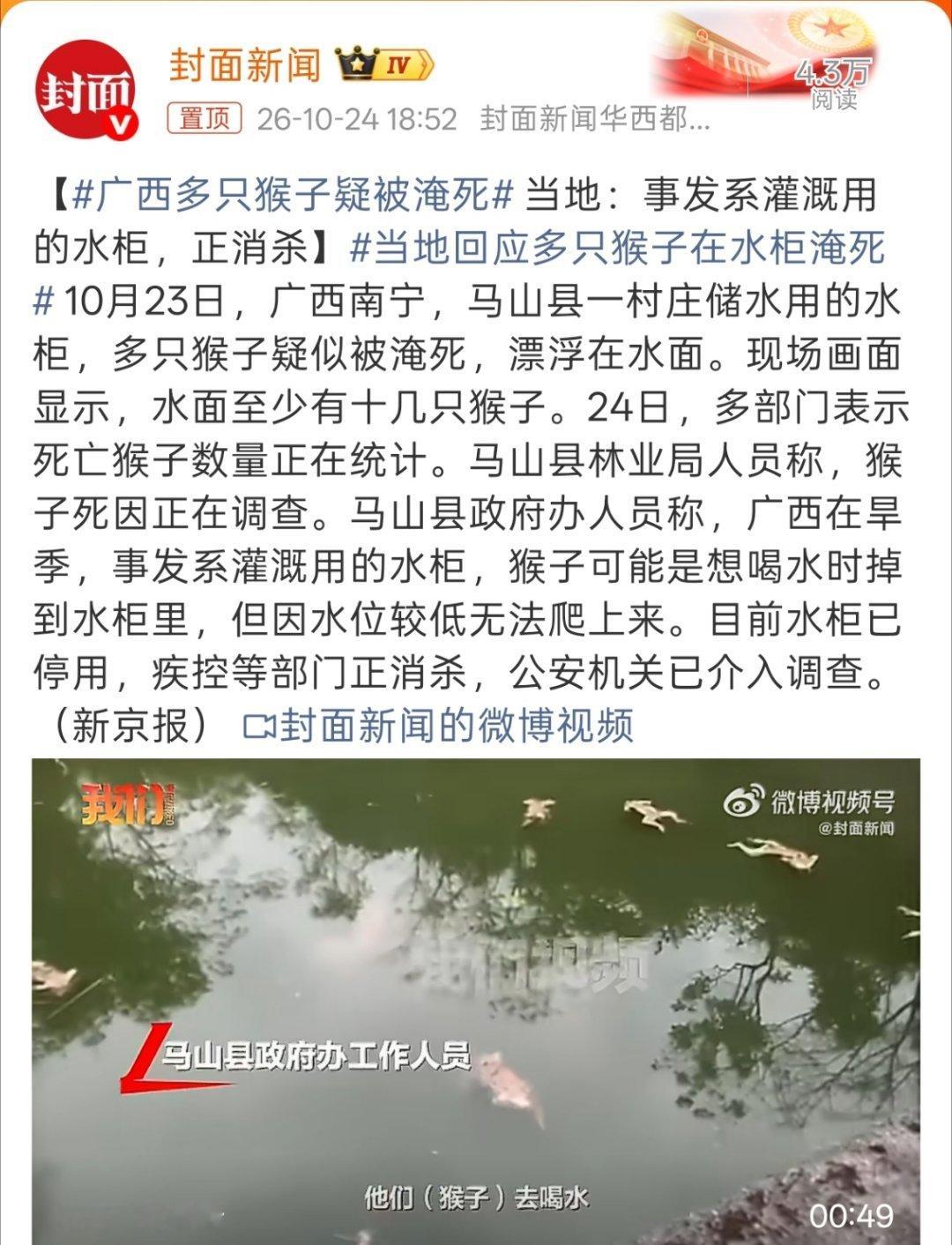 广西多只猴子疑被淹死只能说这设计确实有问题，人掉进去也很难爬上来啊。 ​​​