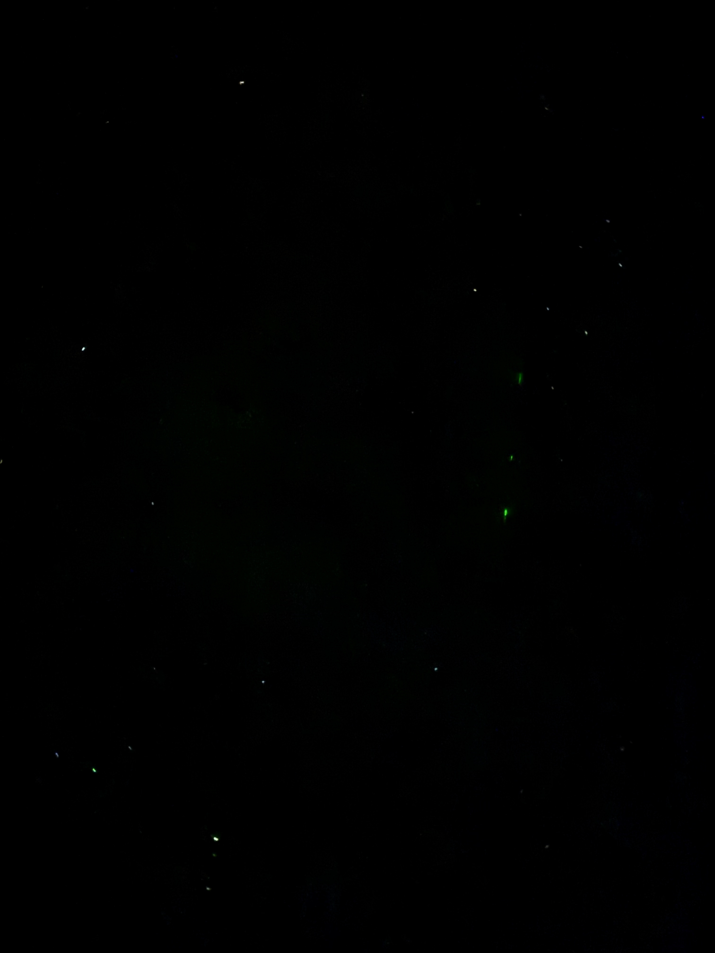好piu 亮的星星✨✨ 虾 什么事情都想告诉帅哥肖战