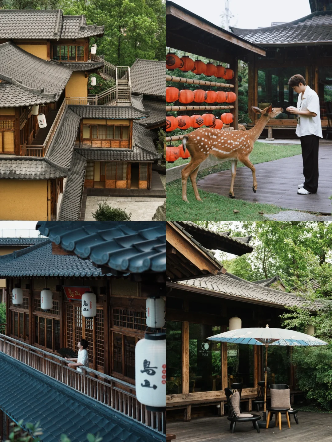 青城山下｜街子古镇旁的日式庭院酒店🦌