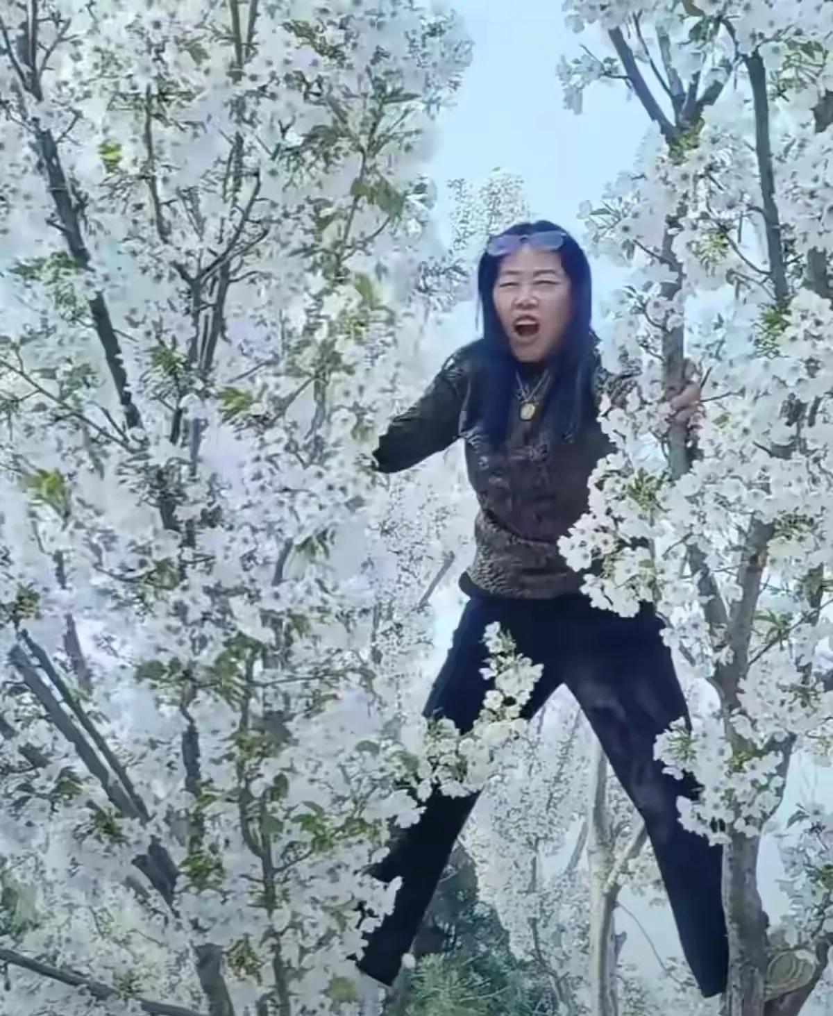 你在笑，树在哭。
看你在花树间狂野折腾，我仿佛听见了树的哭泣声。
