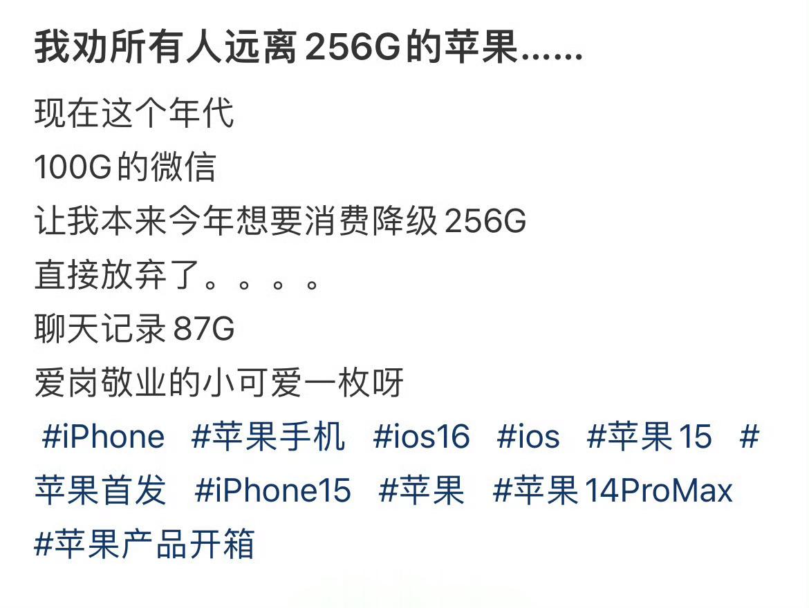 我劝所有人远离256G的苹果…… ​​​