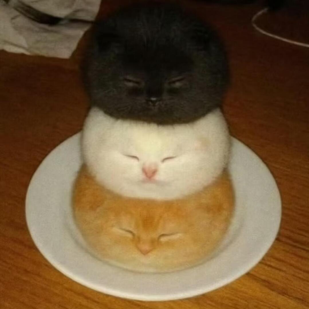 孔乙己猫饼时候 