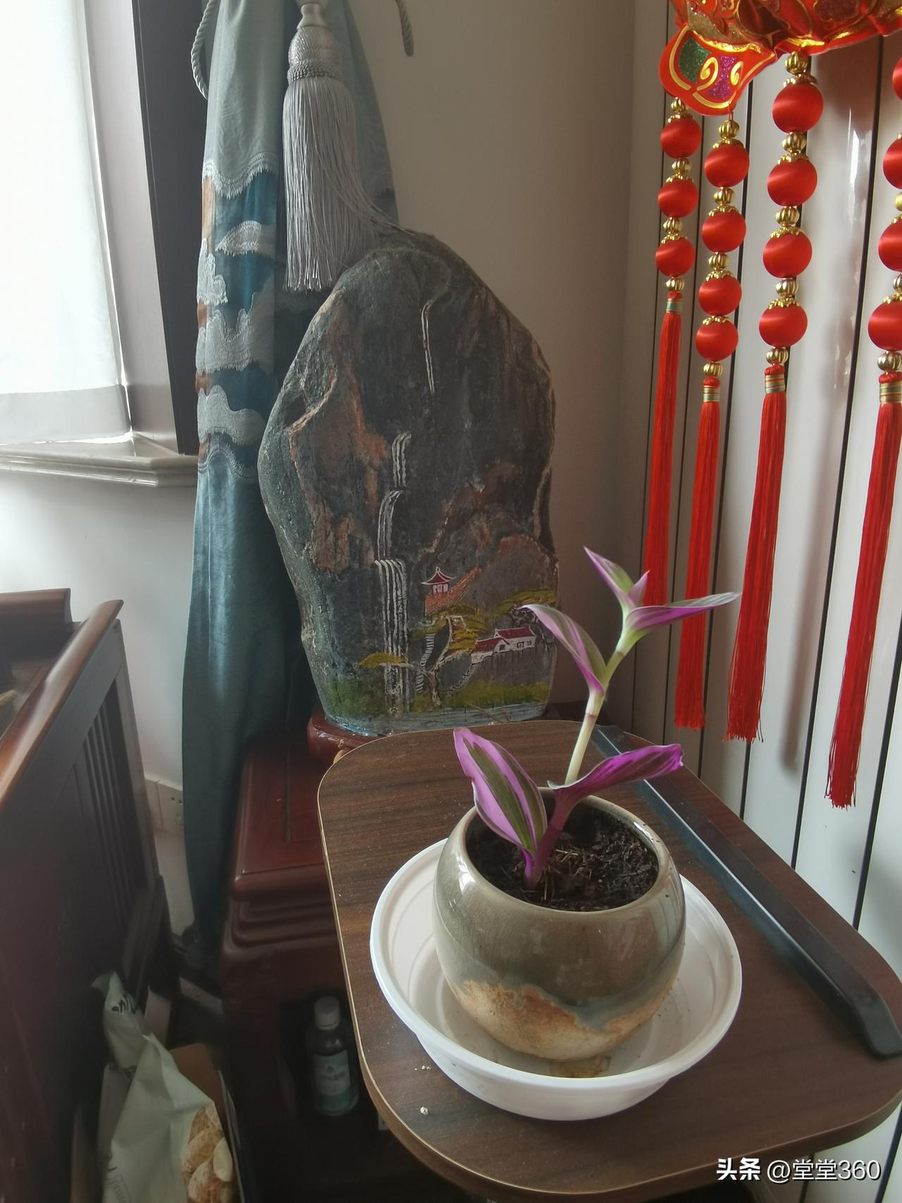 和中国女孩相比，似乎更加单纯，更懂得入乡随俗的道理。当我们问起她，初一是否给公公