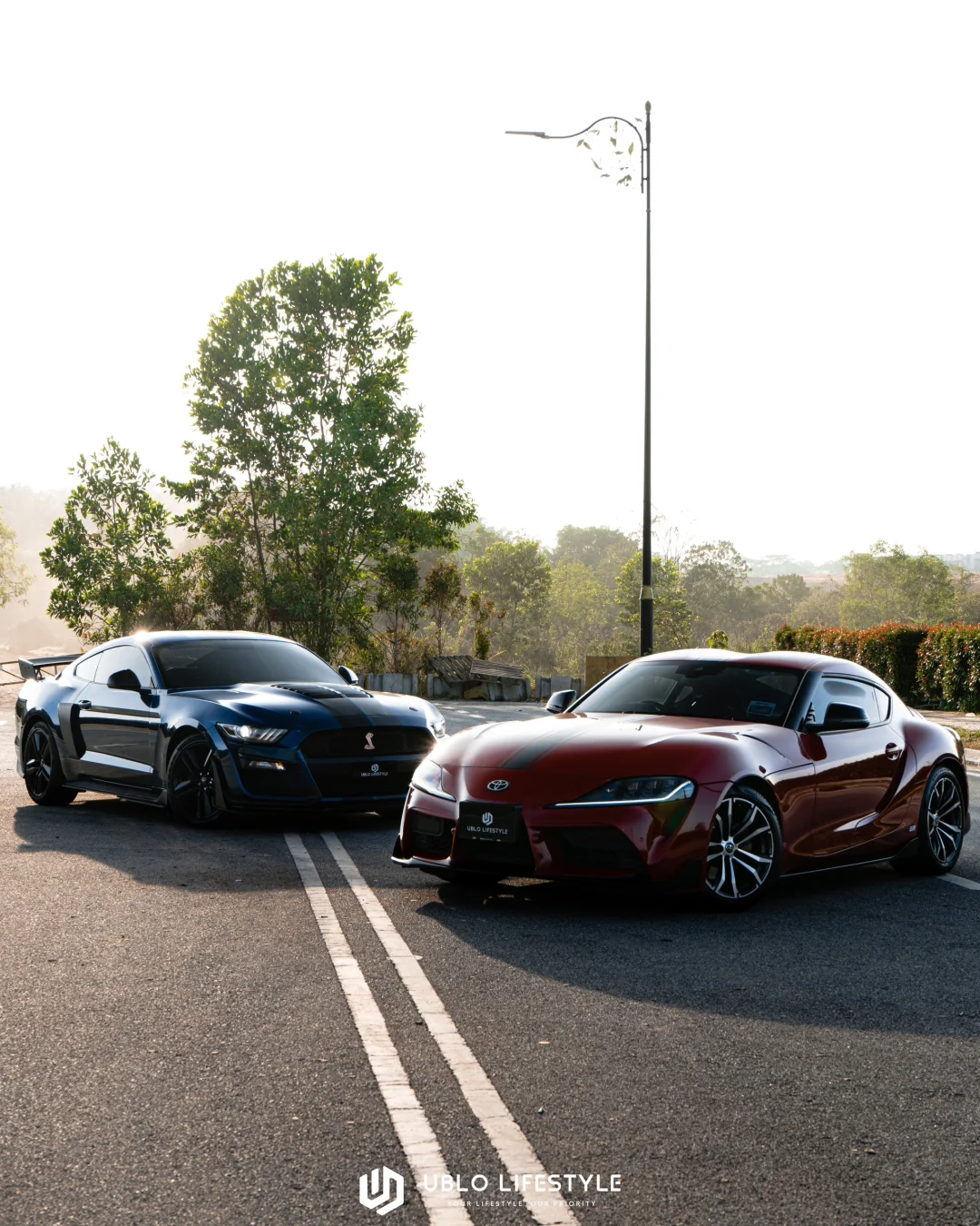 【当🇺🇸肌肉马，遇上🇯🇵牛魔王】