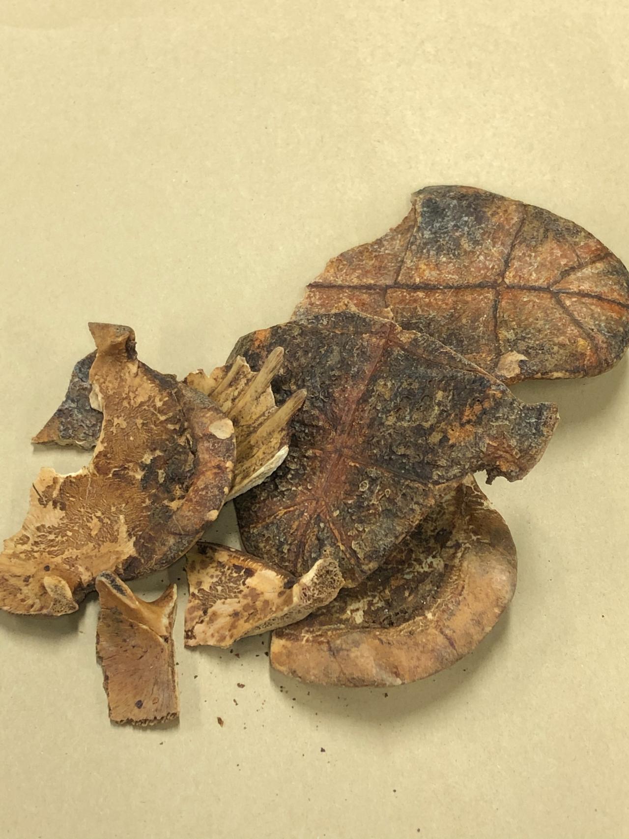 世上本没有更年期，其实是“阴阳不和”了！消除患者的更年期后，我突然很想哭，为可怜