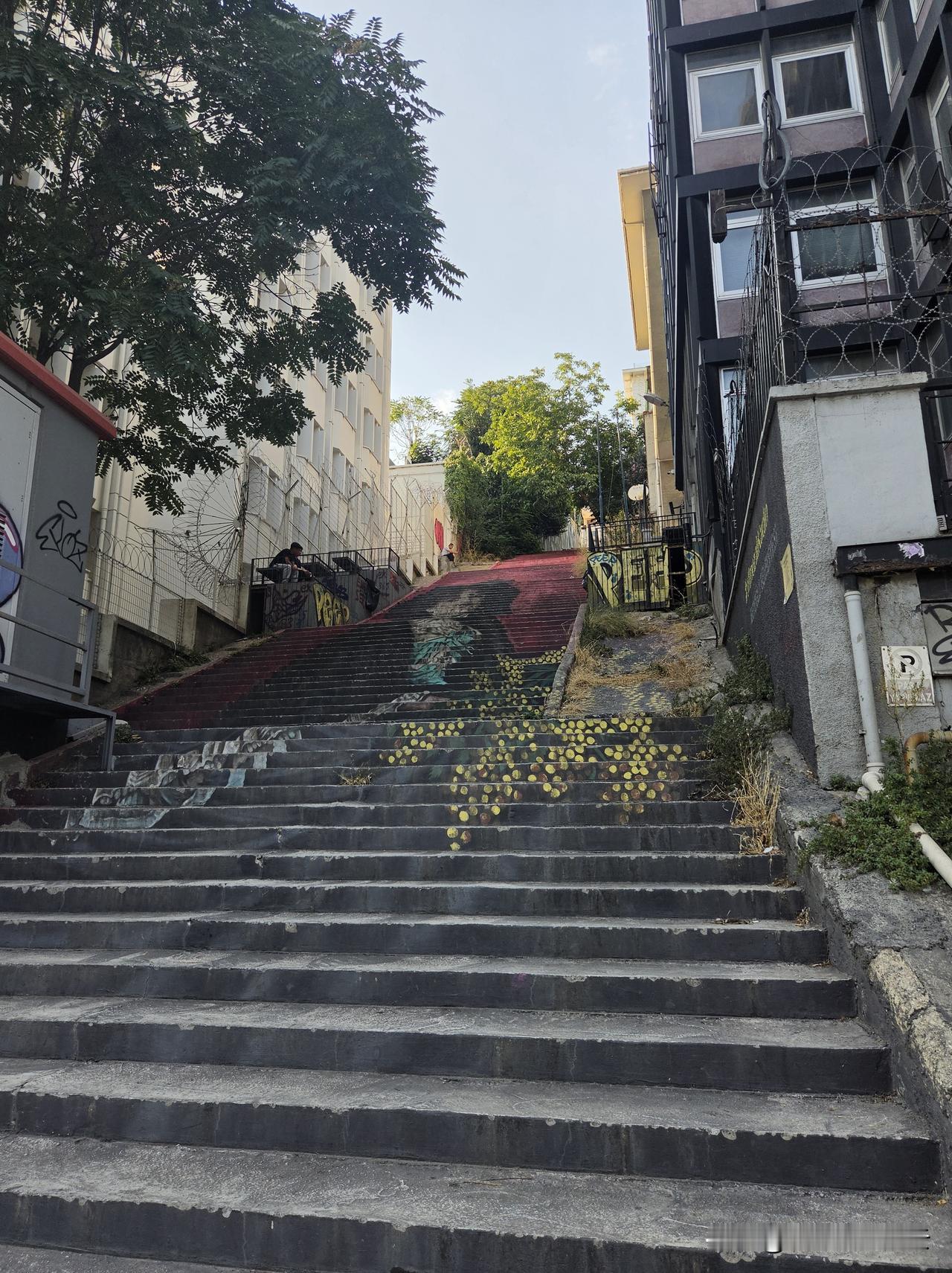 前天（8月8日）是世界猫日，伊斯坦布尔大街小巷，猫无处不在，彩虹台阶前来个特写。