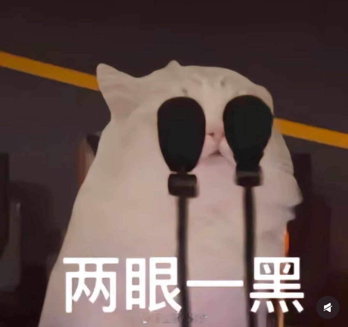 正式被确诊为领券型人格恭喜！喜提“持家有道”Buff，省钱小能手就是你！[二哈]