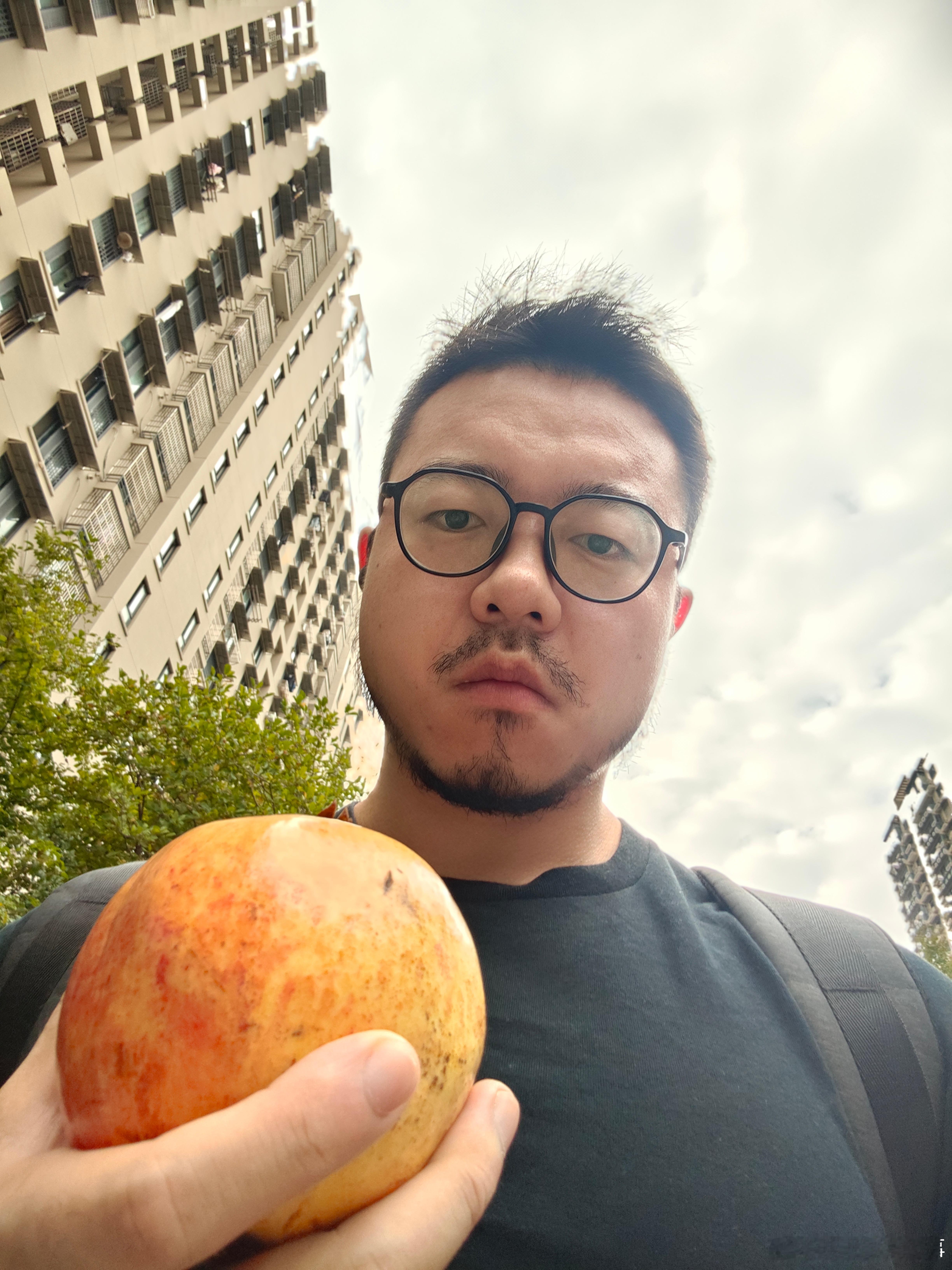 拿个大石榴赶路完全处女座概念 ​​​